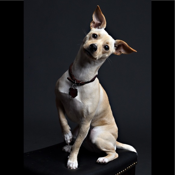 Meet your Posher, Lura - Picture 7 of 8